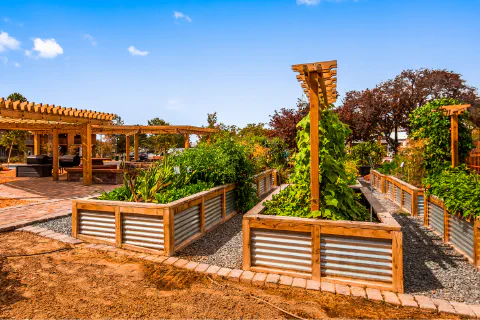 Explore our on-site Seasonal Garden to pick fresh herbs, fruits, and vegetables in season.