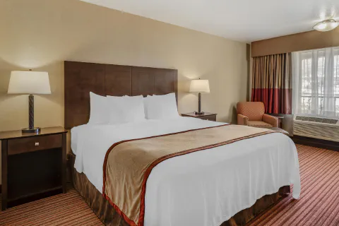 Spacious King Room featuring a microwave, mini fridge, and comfortable seating.