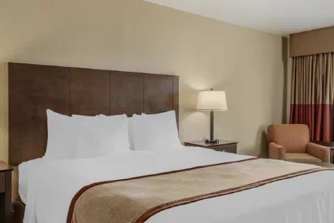 Comfortable king room with modern furnishings
