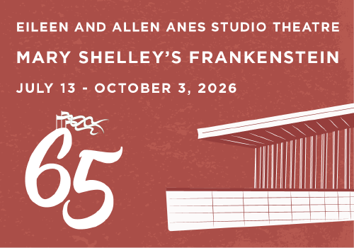 Poster for Mary Shelley's Frankenstein